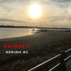 Entropy
