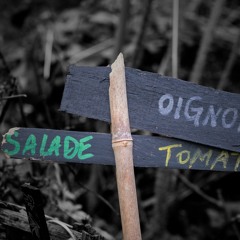Salade Tomates Oignons