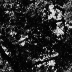 01 REC-2025-05-03