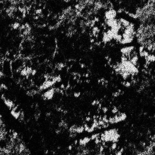 01 REC-2025-05-03