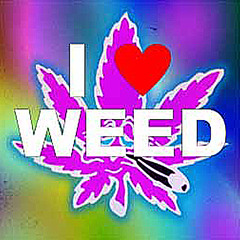 MASTER P - PASS ME DA GREEN (METRO'S WEED ANTHEM EDIT) FREE DL