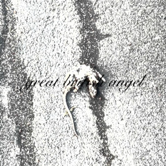 great british angel (skaatermane2004)