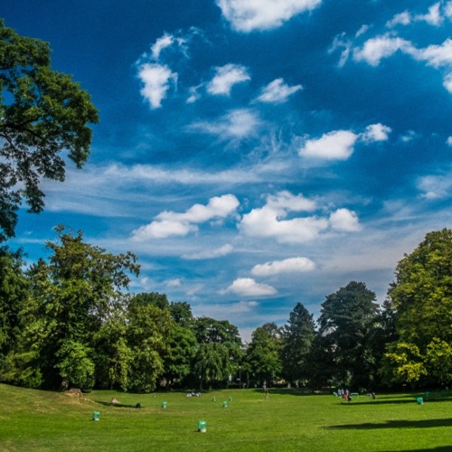 Sunset Picnic Sessions: Luka @ Kinnekswiss, Edouard André Municipal Park (May 1st, 2025)