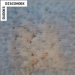 DUDOKS DISCOHOEK 2023-29
