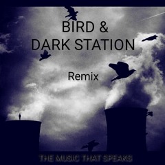 BIRD // DARK STATION - REMIX - ESPECIAL HNO. PINA .  REC-2025-09-13