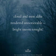 haiku #593: cloud and mist alike / rendered unnoticeable – / bright moon tonight!