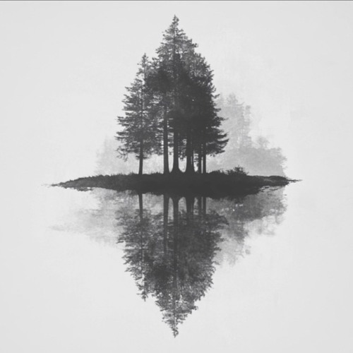 Learn from the Trees