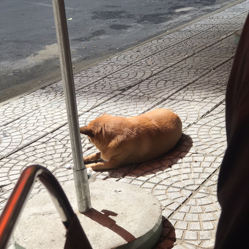 Em Nói Với Ai   - Wrxdie X KayC Feat. Trung Trần ( 8D )