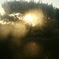 options (no protectedcharms)