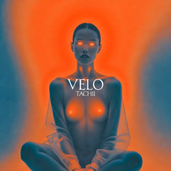 VELO - Tachii