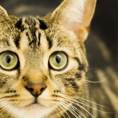 Slowly Drowning at the Best Party Ever