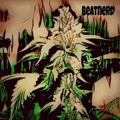 Dusty NerdyJuana
