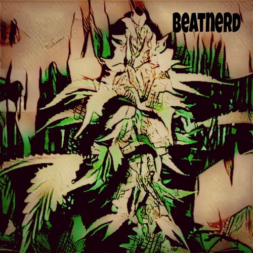Dusty NerdyJuana