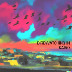 Birdwatching in Kairo