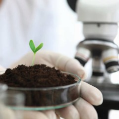 Deel 2: in gesprek met een gangbare, regeneratieve melkveehouder en een microbioom-expert