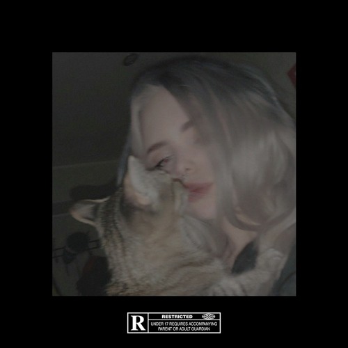 ​​​kirxcy sample challenge [win]