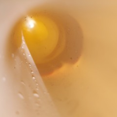 Sonâncias dos Fluidos em Arritmia