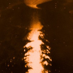 004081