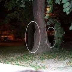 seeing paranormal (snarko)