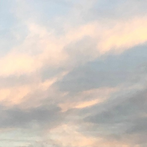 adore you - harry styles (rosewood flip)