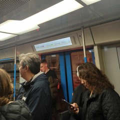 metroTurgenevskaia.aac