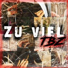 Zu Viel (prod. TROYVIXIOUS)