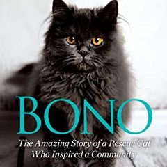 View PDF EBOOK EPUB KINDLE Bono: The Amazing Story of a Rescue Cat Who Inspired a Com