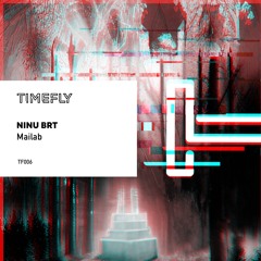 TF006: Ninu Brt - Mailab (Original Mix)