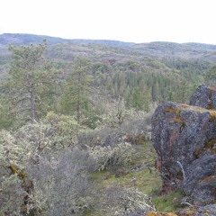 Wyatt Purple AND PLAYiTANO feat. Crenshaw Corruption 78 BPM