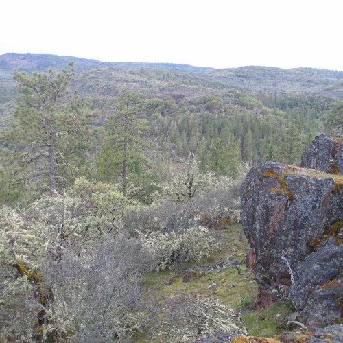 Wyatt Purple AND PLAYiTANO feat. Crenshaw Corruption 78 BPM