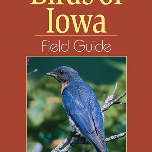 Stream Download PDF Birds Of Iowa Field Guide Bird Identification stream-download-pdf-birds-of-iowa-field-guide-bird-identification