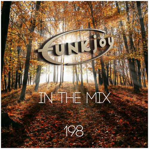 funkjoy - In The Mix 198