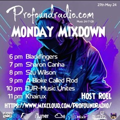 #157 Profound Radio  Progressive House  @djstuwilson