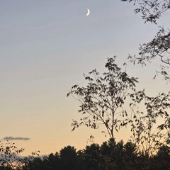 placeholder95 (haunted house party type beat)