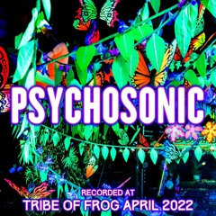 Psychosonic - Recorded at TRiBE of FRoG Spring Finale 2022 [Room 1]