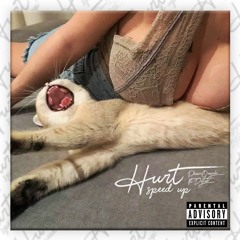 Hurt (Speed Up Version)- PhamQuynh x Dytee (Prod. GRabbiX)