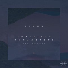 Biuma - Invisible Parameters (Lost Artifact)