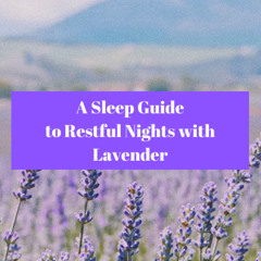 Achieving Restful Nights with Lavender: A Sleep Guide