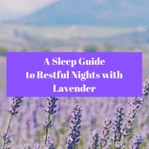 Achieving Restful Nights with Lavender: A Sleep Guide