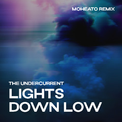 Lights Down Low [Moheato Remix]