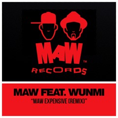 MAW Expensive (A Tribute To Fela) (Dim's Retouch) [feat. Wunmi]
