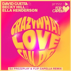 Crazy What Love Can Do (DJ Prezzplay & Flip Capella Radio Edit)