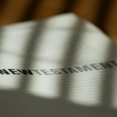 Your Last Resort (Dangerous Radio)