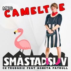 Mrs Cameltoe (feat. Agneta Patrull)