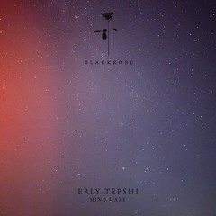 Erly Tepshi - New Order (Original Mix)