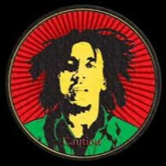 Bob Marley And The Wailers- Caution - Cant You See- Soul Captives-Turn Me Loose