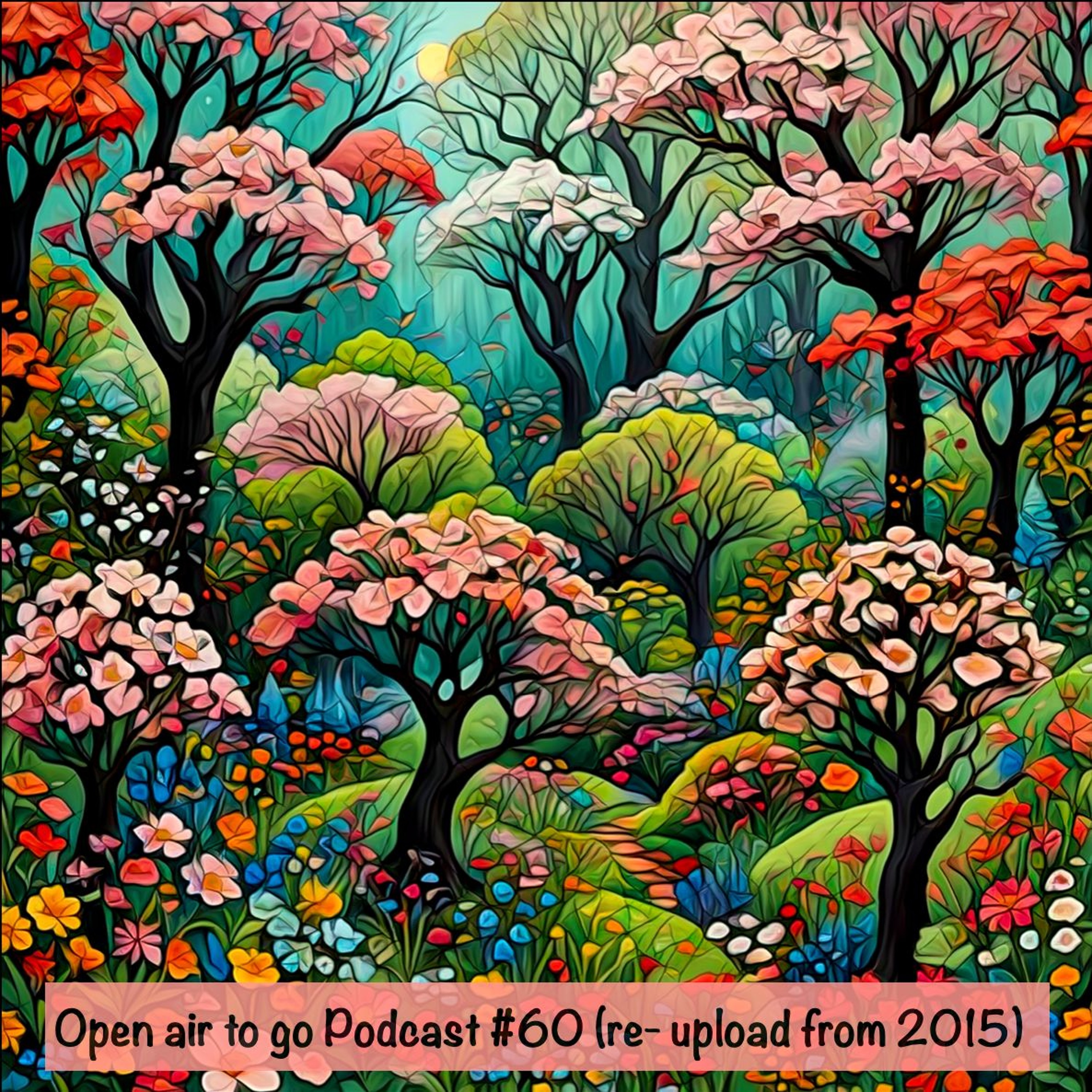 Open Air to go Podcast #60 (re-upload from 2015) episode artwork