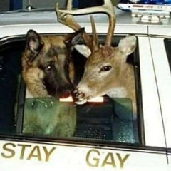 ketchum, id - boygenius (cover)