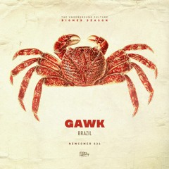Gawk @ Newcomer #035 - Brazil (Authorial Mix)