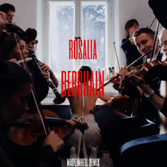 ROSALIA - BERGHAIN (MADEINHELL REMIX)